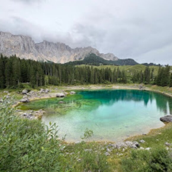 Meet the Posher - Picture 1 of 1